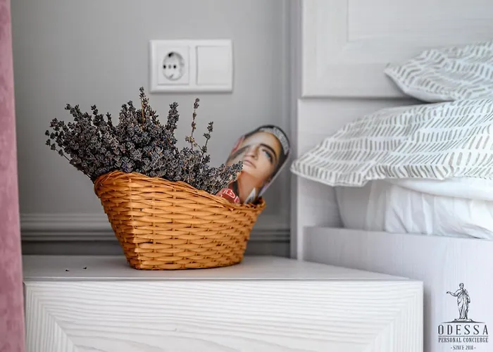 Center New House Odesa